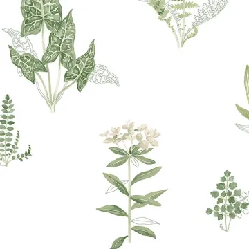 PA34227 Ferns Wallpaper Green, Beige Paradise Norwall Wallcovering