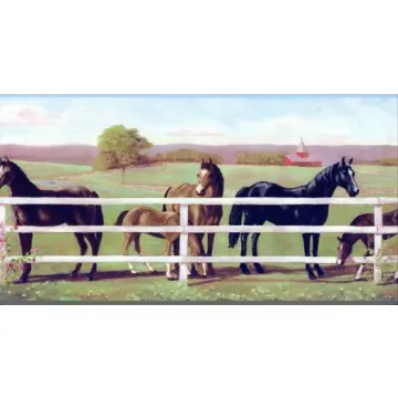 Childrens Horse Wallpaper Border