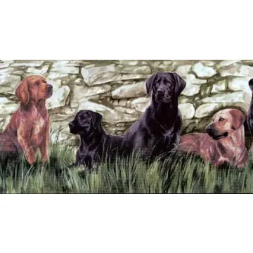 Brown Labradors Wallpaper Border