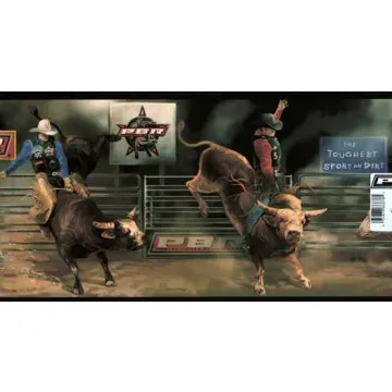 PBR Rodeo Wallpaper Border