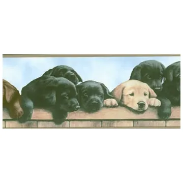 Labrador and Retriever Puppies Wallpaper Border WT1038BCS