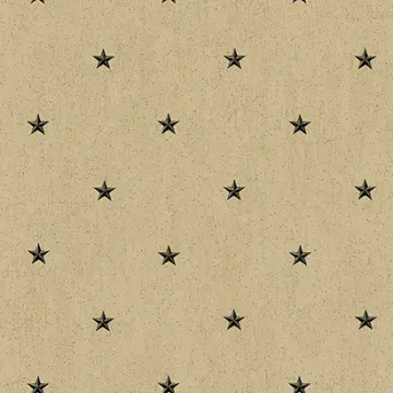 Welcome Home Barn Star Spot Wallpaper