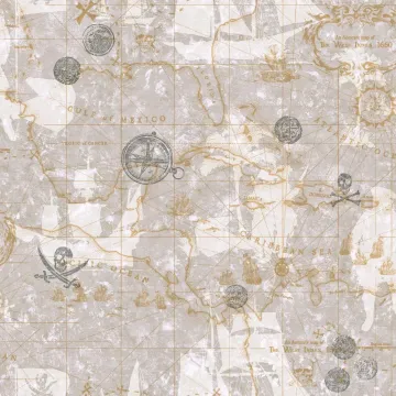 Charcoal and Silver Nautical Pirate Map Wallpaper