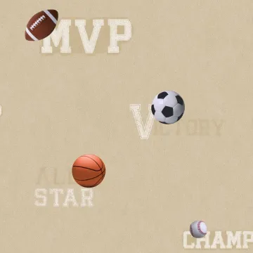 Boys Will Be Boys Sports Ball Wallpaper
