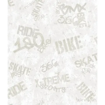 Boys Will Be Boys X-Treme Sports Wallpaper