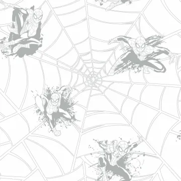 Boys Will Be Boys Spiderman Web Wallpaper