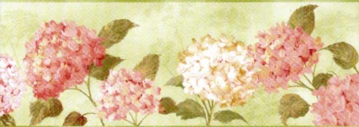 Hydrangea in Pink on Green Wallpaper Border CC4438B